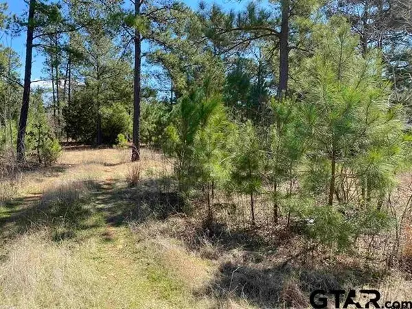 TBD Cr 1507- 12.54 Acres, Jacksonville, TX 75766