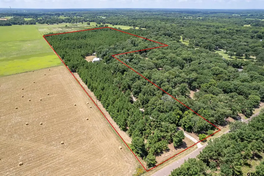 25325 County Road 462, Mineola, TX 75773 - #2