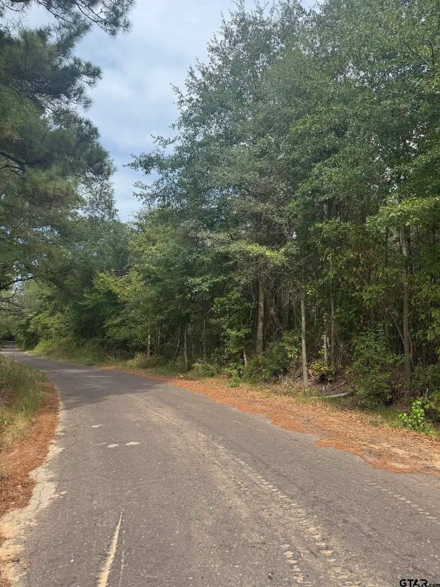 0000 Mink Rd, Pittsburg, TX 75686 - #2