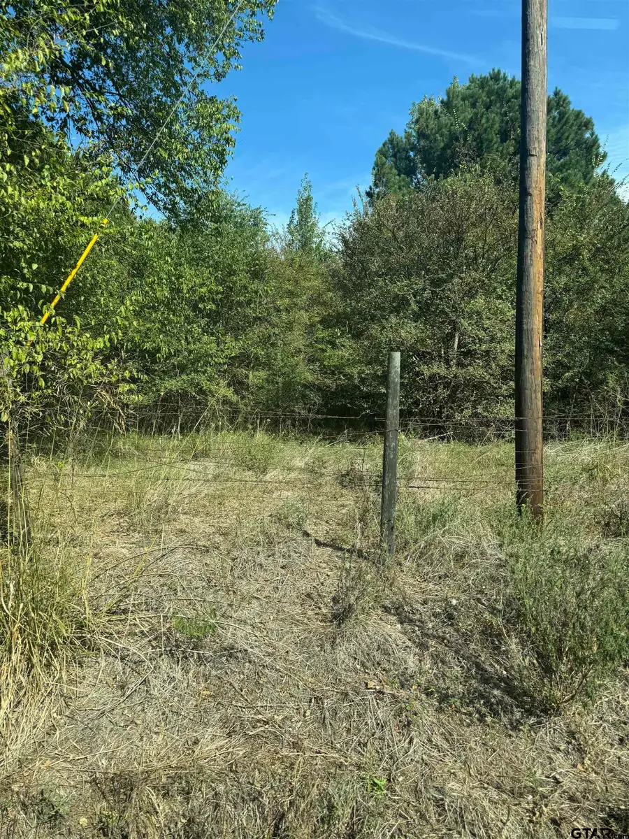 0000 Mink Rd, Pittsburg, TX 75686 - #3