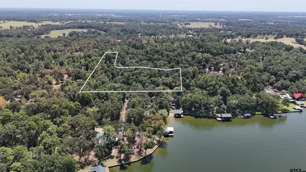 TBD Pine Trail Drive, Scroggins, TX 75480