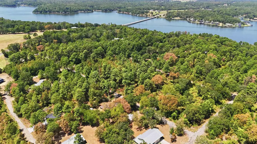 TBD Pine Trail Drive, Scroggins, TX 75480 - #2