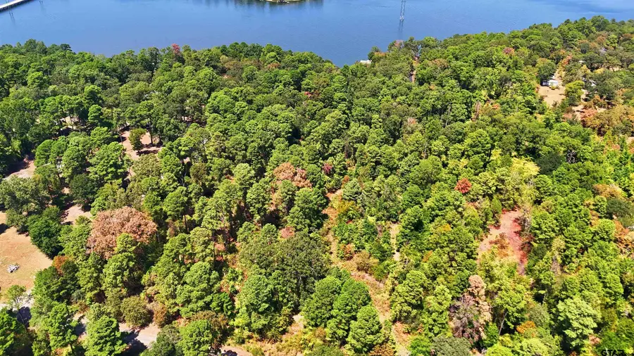 TBD Pine Trail Drive, Scroggins, TX 75480 - #3