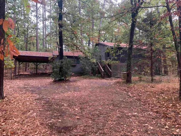 1042 Winding Trail, Holly Lake Ranch, TX 75765