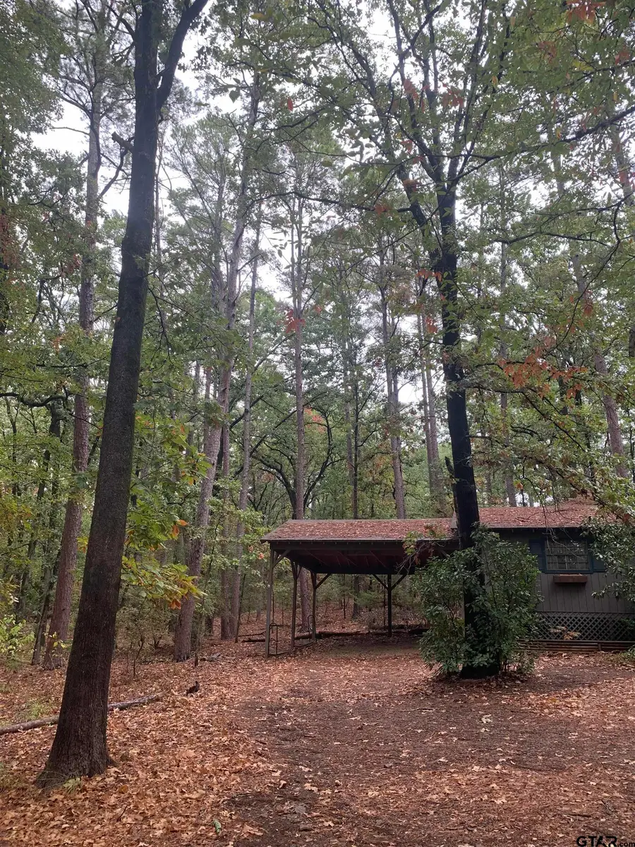 1042 Winding Trail, Holly Lake Ranch, TX 75765 - #2