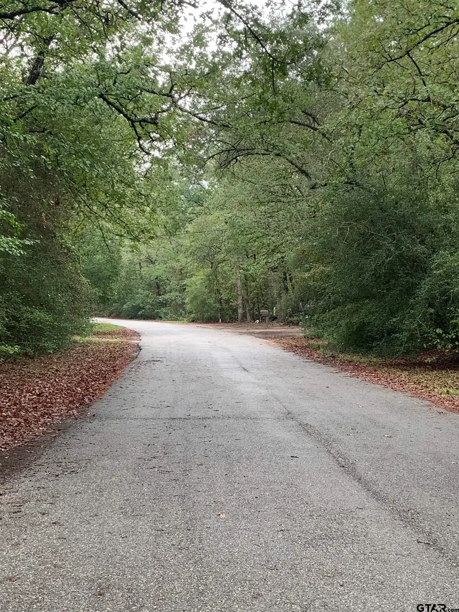 209 Starleaf Lane, Holly Lake Ranch, TX 75765 - #2