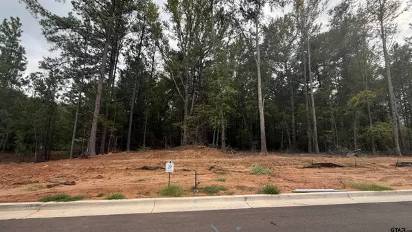2480 Bent Creek Trl, Tyler, TX 75703