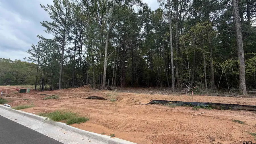 2480 Bent Creek Trl, Tyler, TX 75703 - #3