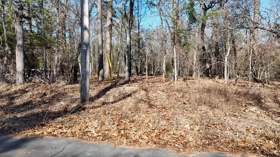 TBD King Harry Ct., Scroggins, TX 75480 - #3