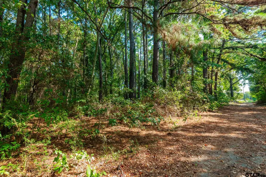 11558 Cr 2298, Tyler, TX 75707 - #2