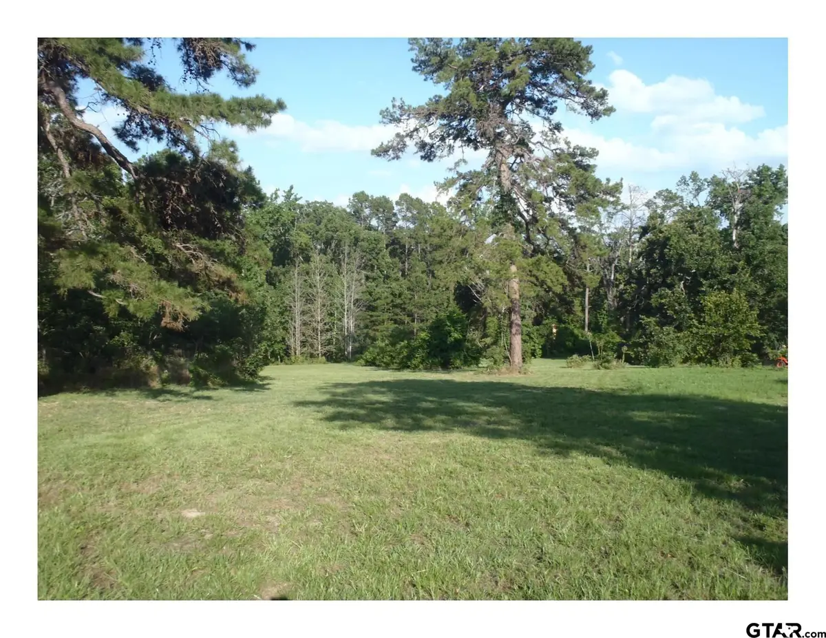 TBD Pr 8573, Winnsboro, TX 75494 - #1