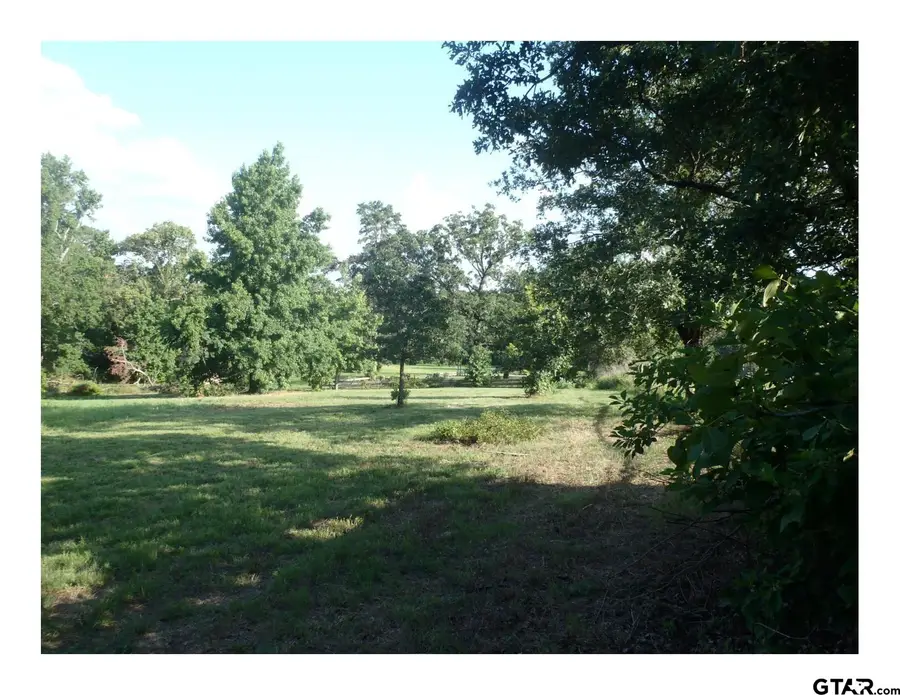 TBD Pr 8573, Winnsboro, TX 75494 - #3