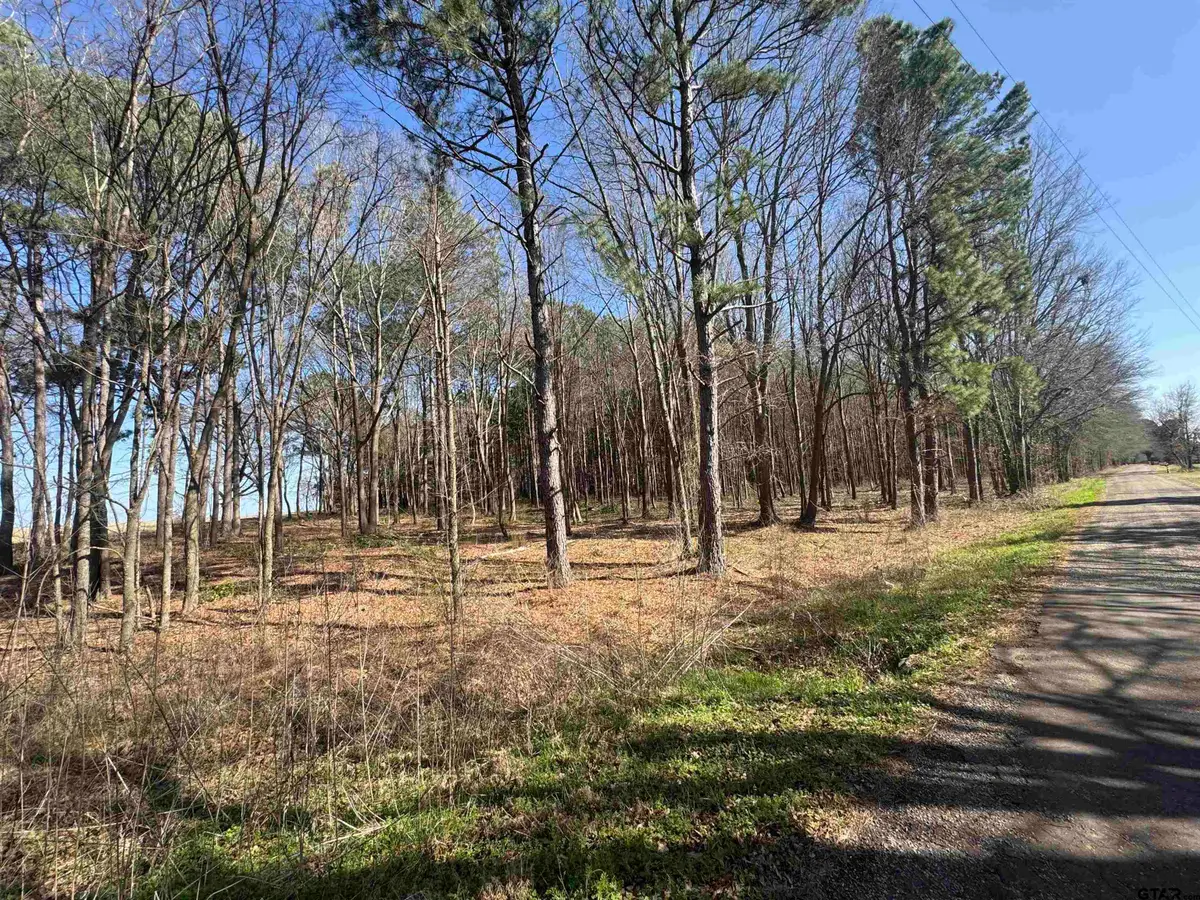 TBD Cr 4310 & 4313, Pittsburg, TX 75686 - #1