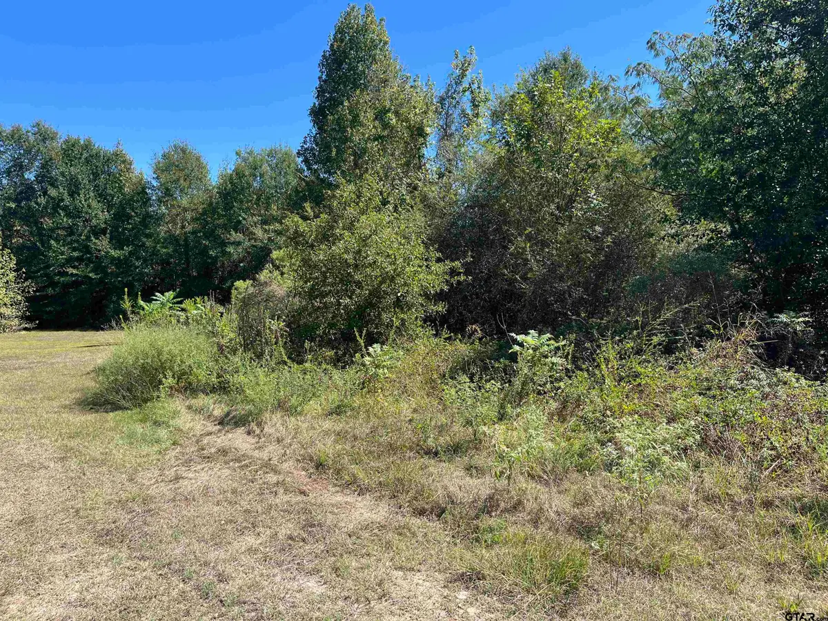 TBD Tract 1 Gene Dr., Mount Pleasant, TX 75455 - #1