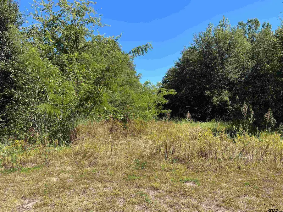 TBD Tract 1 Gene Dr., Mount Pleasant, TX 75455 - #3