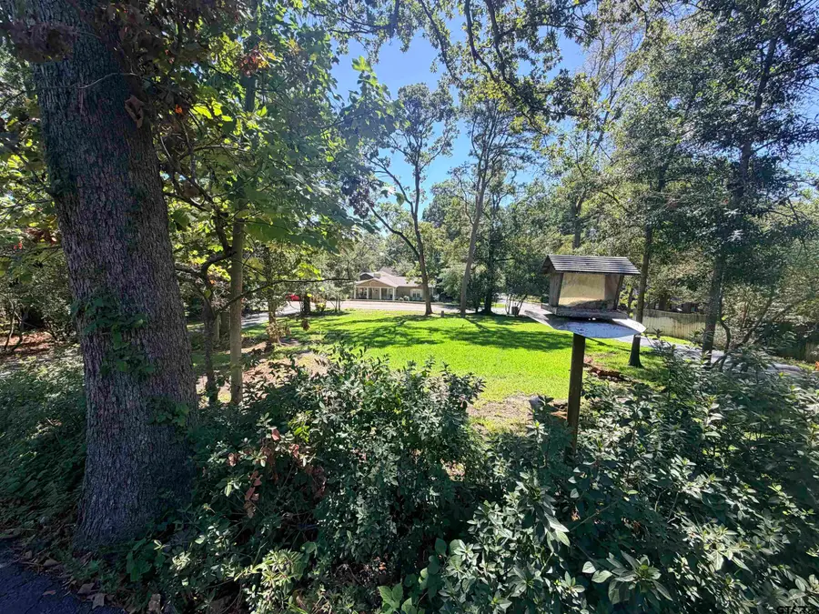 1205 Lake Cross Road, Hideaway, TX 75771 - #3