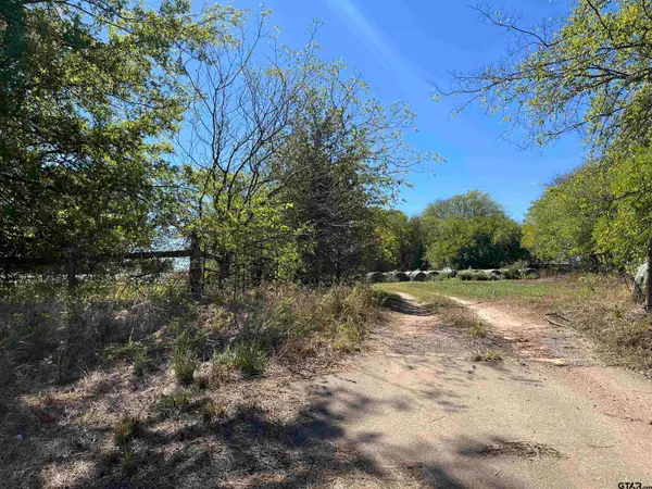 TBD Tract 1 Hwy 49, Mt Pleasant, TX 75455