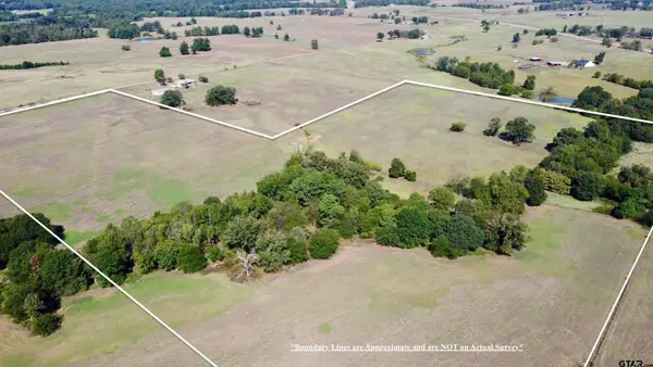 TBD Tract 3 Cr 4875, Mt Pleasant, TX 75455