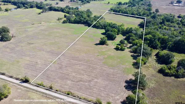 TBD Tract 4 Cr 4875, Mt Pleasant, TX 75455