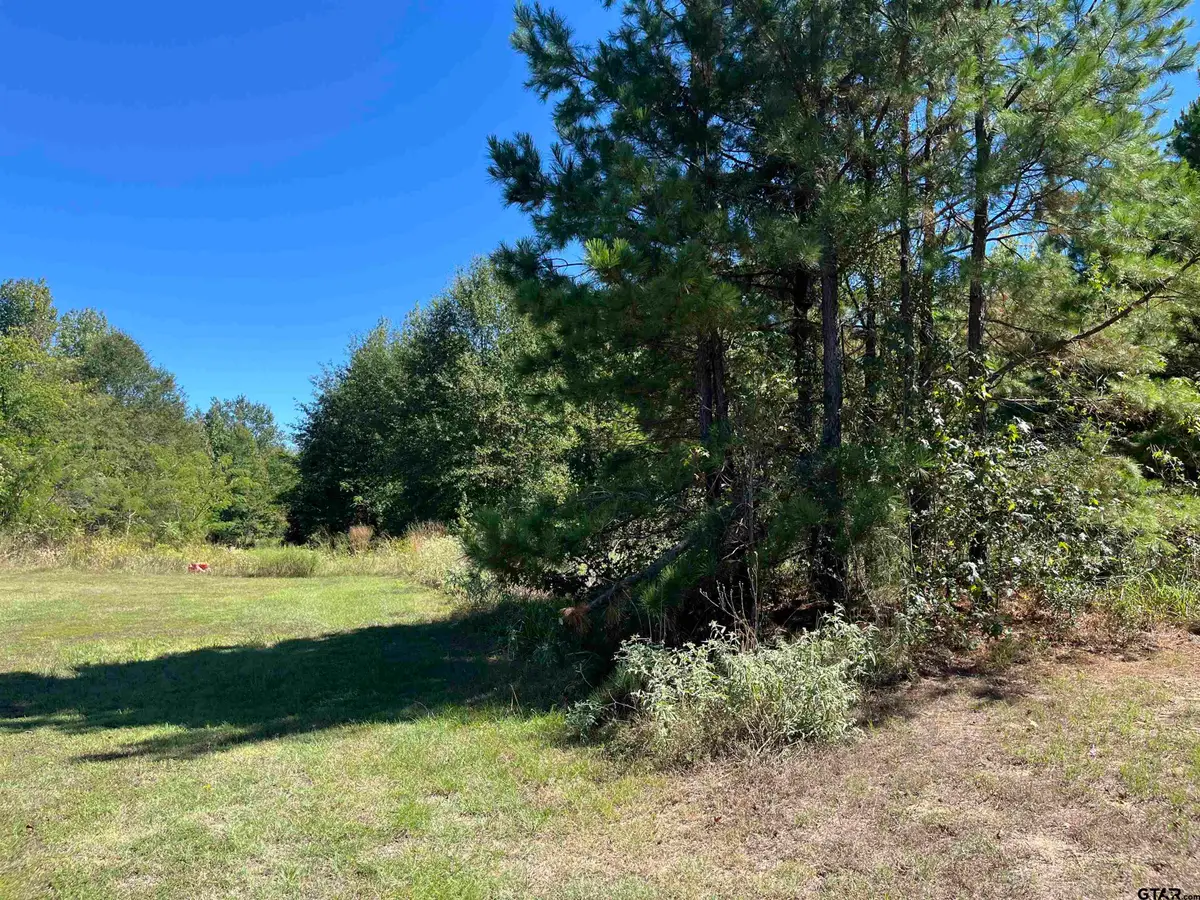 TBD Ford Rd., Mount Pleasant, TX 75455 - #1