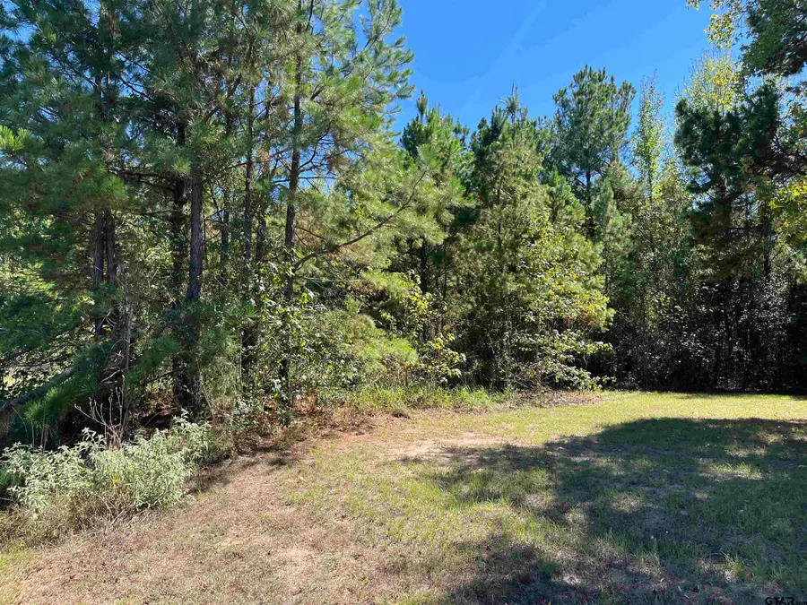 TBD Ford Rd., Mount Pleasant, TX 75455 - #2