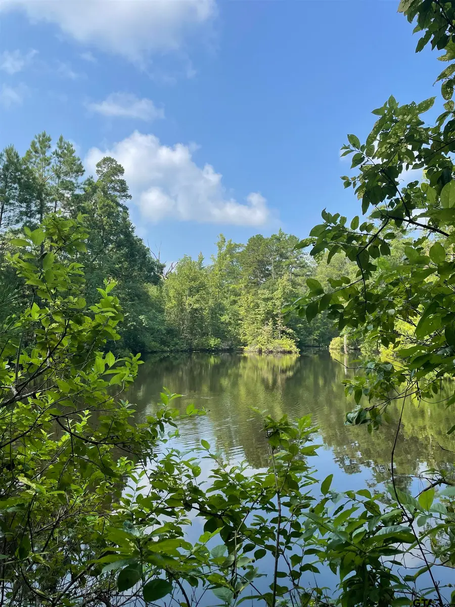 TBD County Road 4559, Winnsboro, TX 75494 - #2