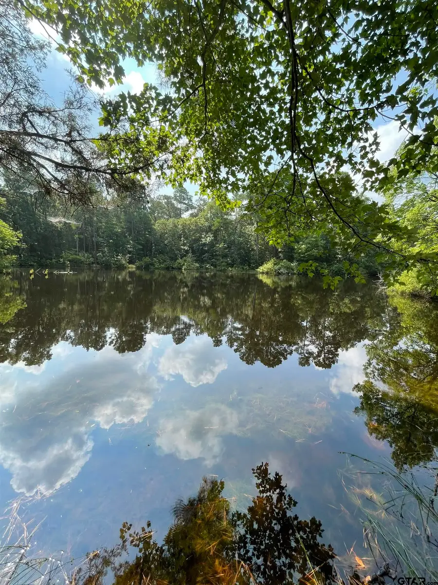TBD County Road 4559, Winnsboro, TX 75494 - #3