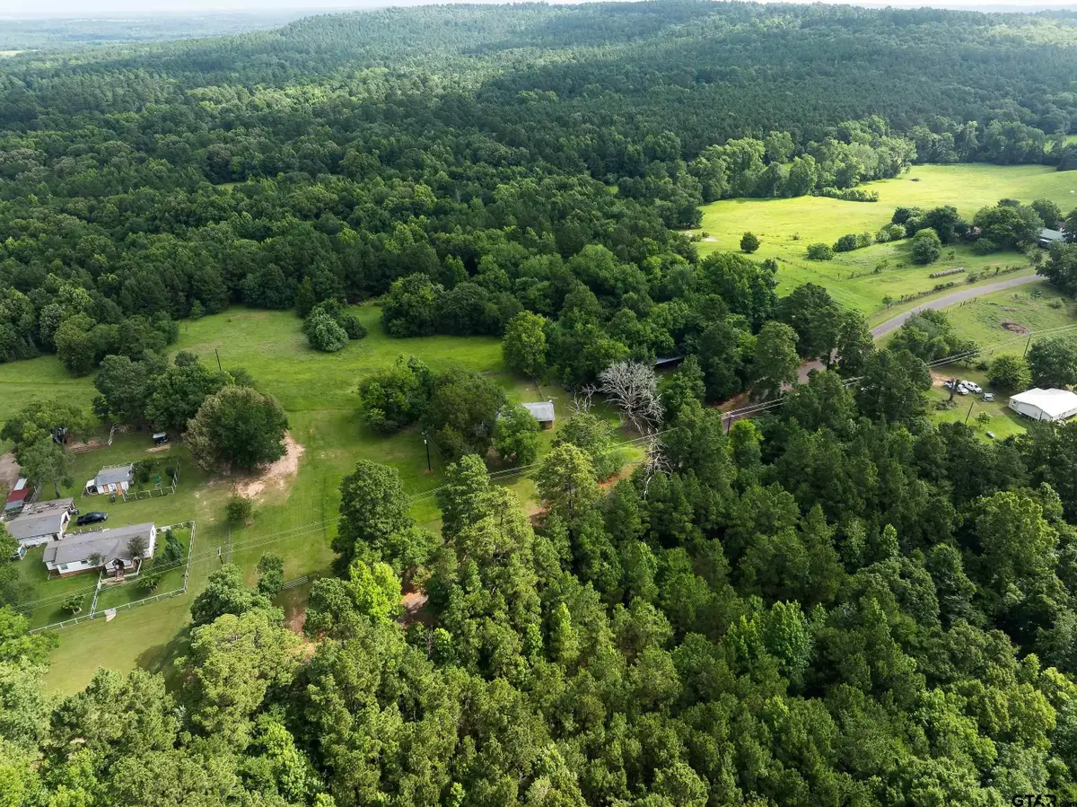 519 An County Rd 45, Palestine, TX 75803 - #1