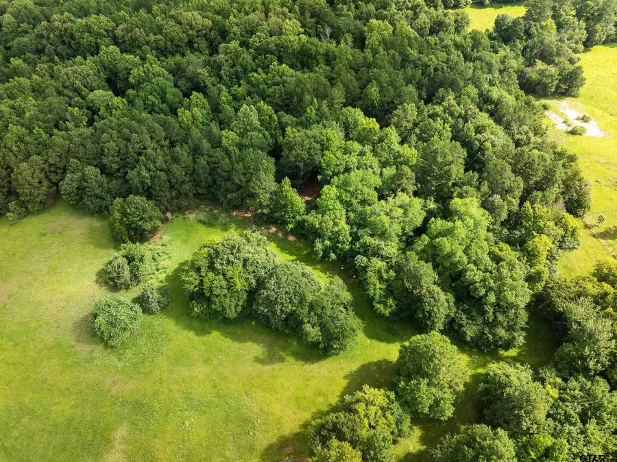 519 An County Rd 45, Palestine, TX 75803 - #3