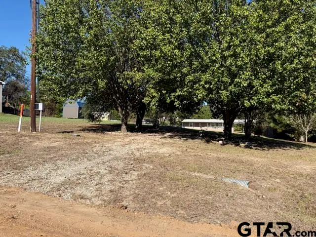 210 Caddo, Quitman, TX 75783 - #1
