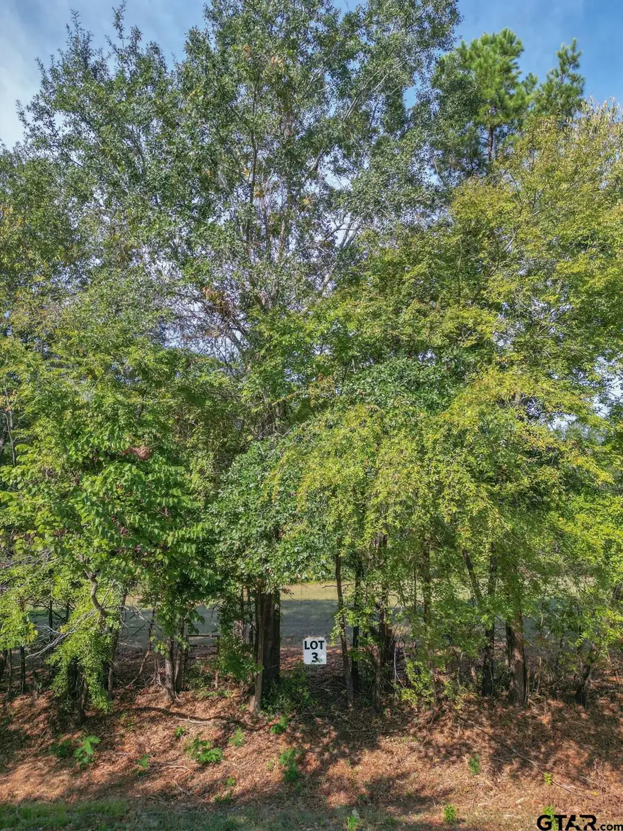 Lot 3 Willingham Rd, Whitehouse, TX 75791 - #3