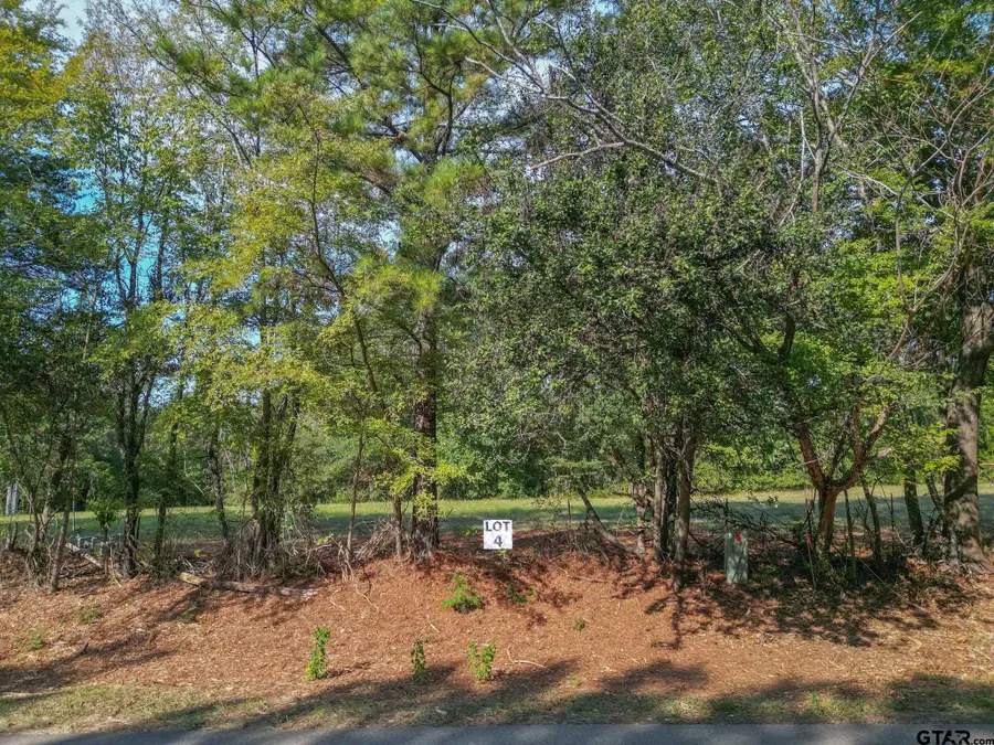 Lot 4 Willingham Rd, Whitehouse, TX 75791 - #3