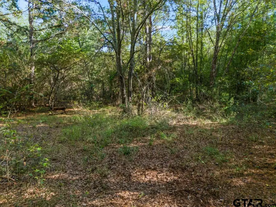 TBD Fm 3324, 24 Acres, Pittsburg, TX 75686 - #2