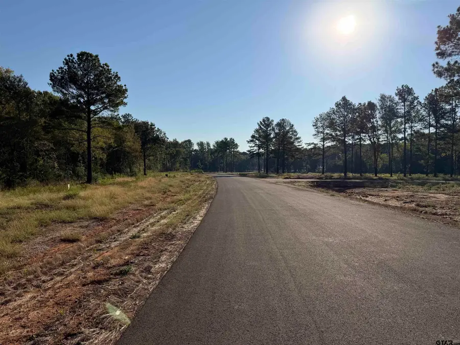 Lot 14 Oak River Estates, Frankston, TX 75763 - #3