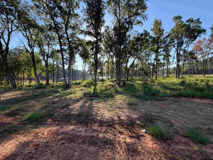 Lot 41 Oak River Estates, Frankston, TX 75763 - #2