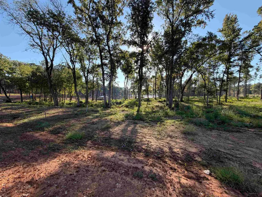 Lot 41 Oak River Estates, Frankston, TX 75763 - #3
