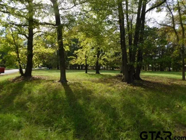 Lot 35 Brook Harbor, Yantis, TX 75497 - #1