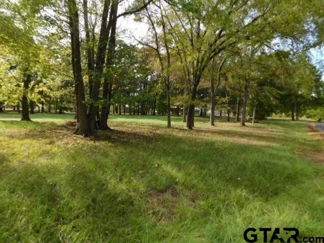 Lot 35 Brook Harbor, Yantis, TX 75497 - #2