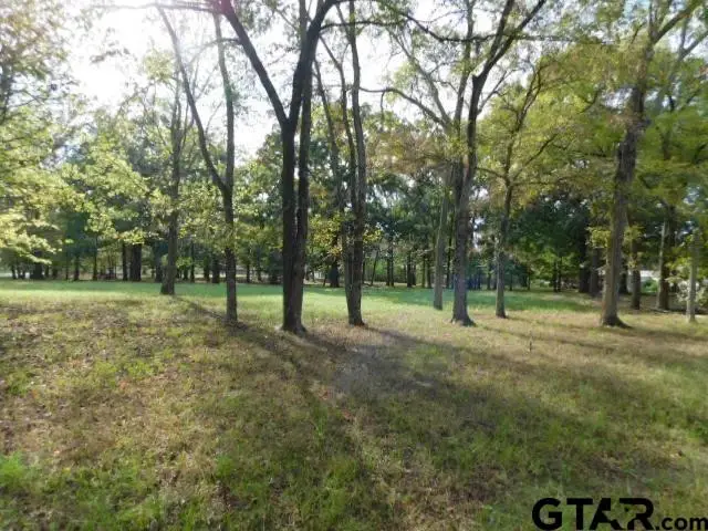 Lot 35 Brook Harbor, Yantis, TX 75497 - #3