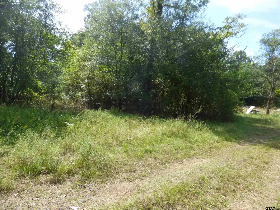 661 County Road 1147, Daingerfield, TX 75638 - #2