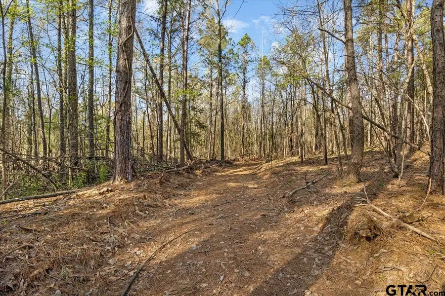 Tbd Fm 2015, Tyler, TX 75708 - #2