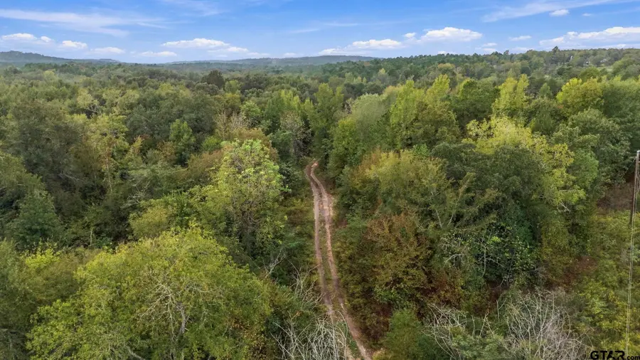 0 Fm 314, Larue, TX 75770 - #2