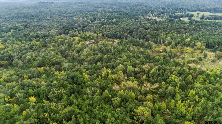 0 Fm 314, Larue, TX 75770 - #3