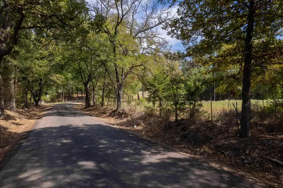 TBD NE Cr 2060, Mount Vernon, TX 75457 - #2