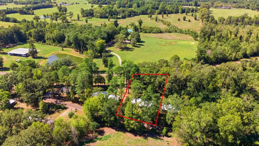 167 Cr 3689, Big Sandy, TX 75755 - #2