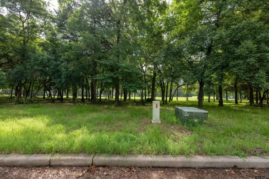 TBD S. Eagles Bluff Blvd., Bullard, TX 75757 - #2