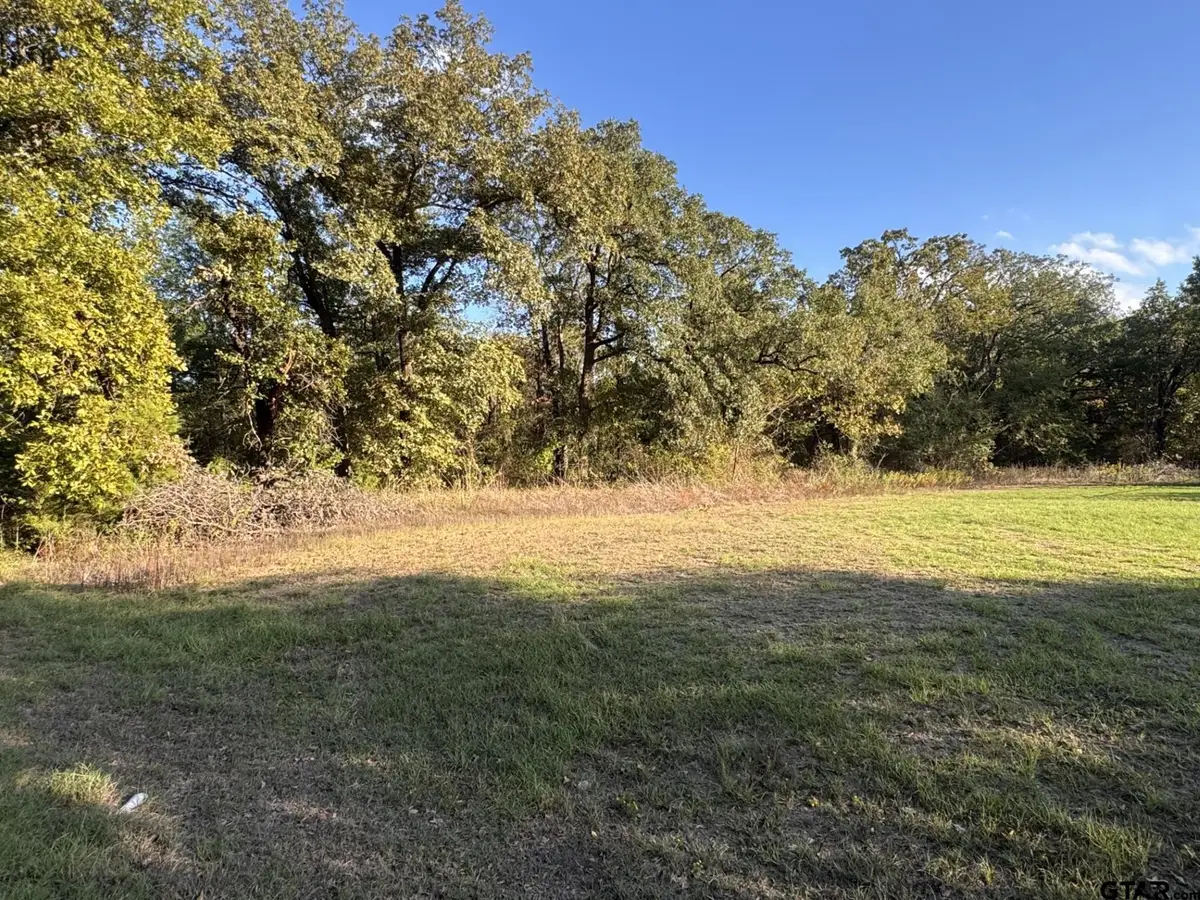 1160 Pearl Harbor St, Tool, TX 75143 - #1