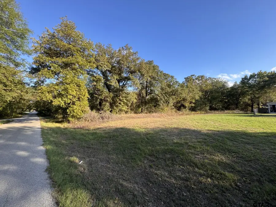 1160 Pearl Harbor St, Tool, TX 75143 - #2