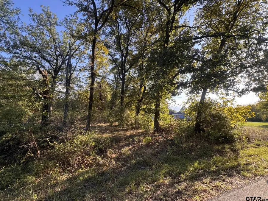 1159 Bora Bora St, Tool, TX 75143 - #2