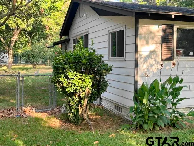 137 Frances St, Mineola, TX 75773 - #2